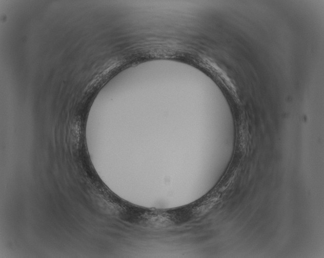 X0000087320113200705181021