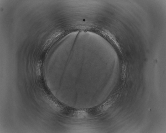 X0000087320114200705181021