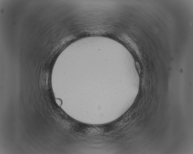 X0000087320115200705181021