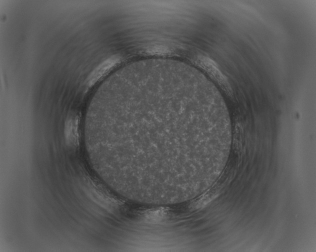 X0000087320116200705181021