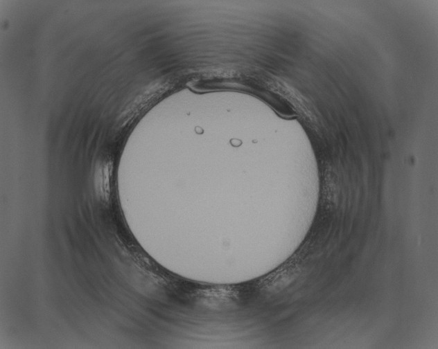 X0000087320118200705181021