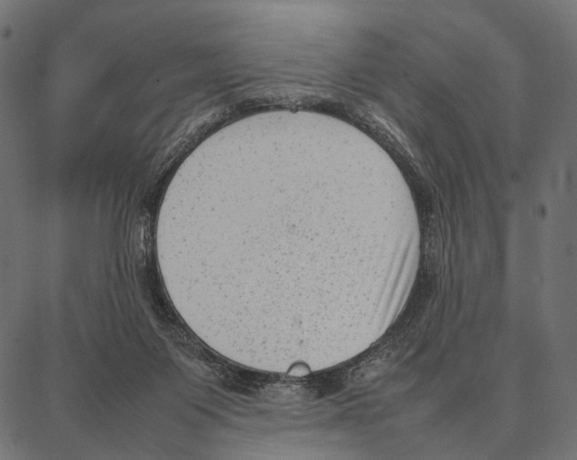 X0000087320119200705181021