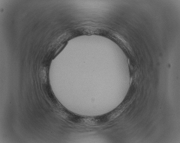 X0000087320121200705181021