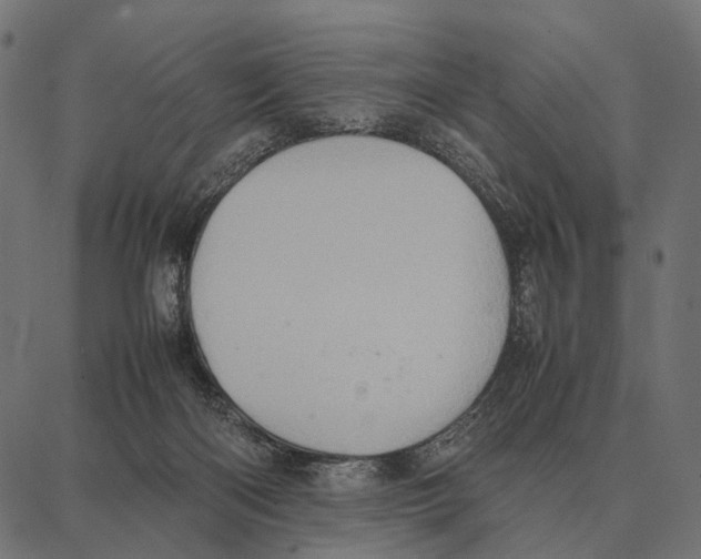 X0000087320122200705181021