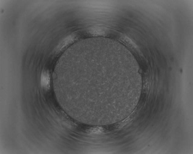 X0000087320124200705181021