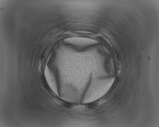 X0000087320125200705181021