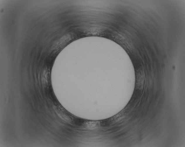 X0000087320126200705181021