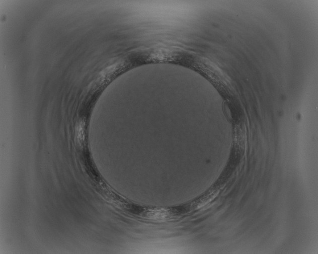 X0000087320127200705181021