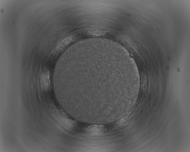 X0000087320128200705181021