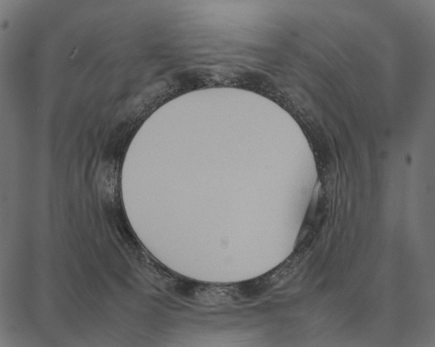 X0000087320129200705181020