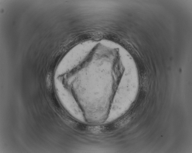 X0000087320131200705181020