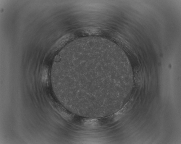 X0000087320132200705181020