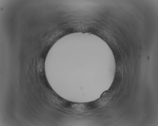 X0000087320133200705181020