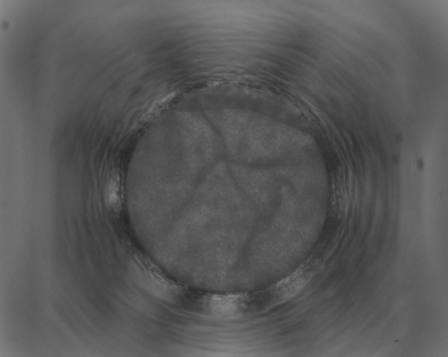 X0000087320134200705181020