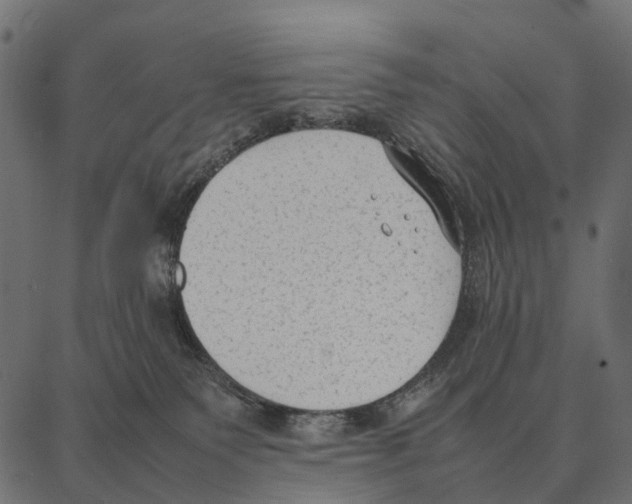 X0000087320135200705181020