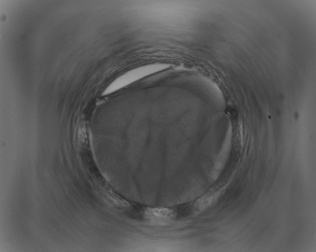 X0000087320137200705181020