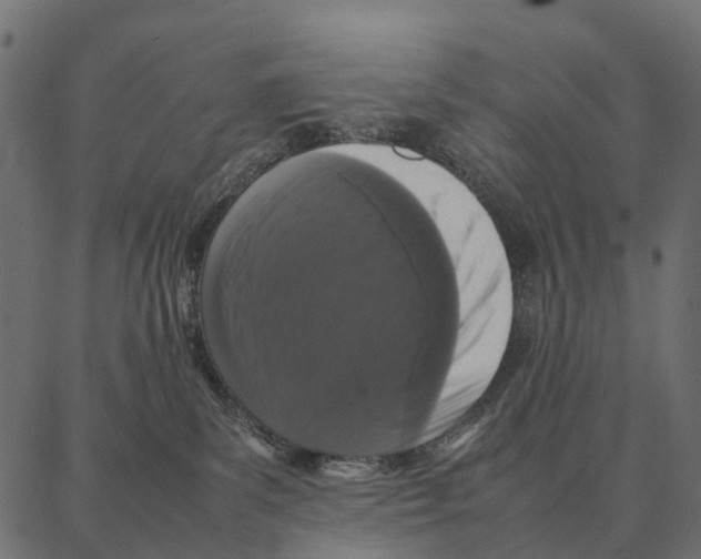 X0000087320139200705181020