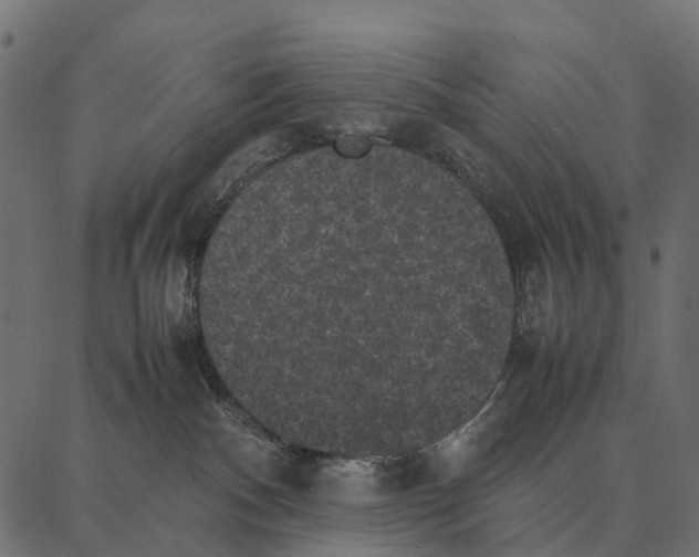 X0000087320140200705181020