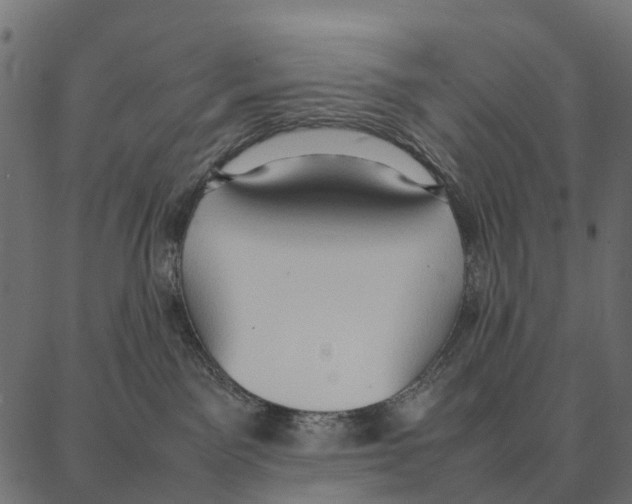 X0000087320141200705181020