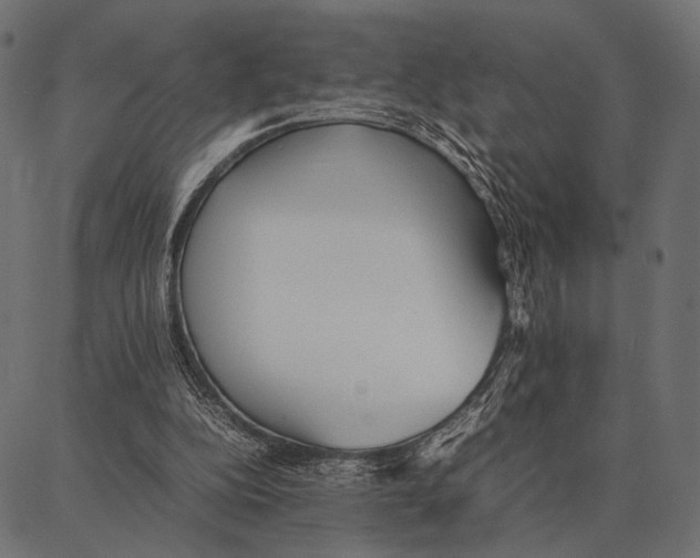 X0000087320152200705181020