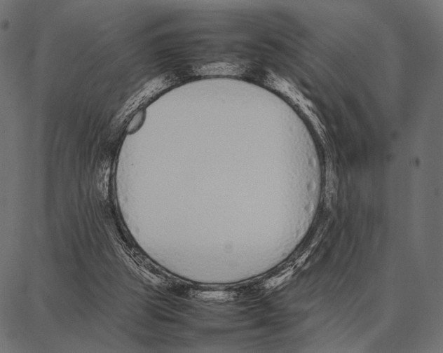 X0000087320153200705181020