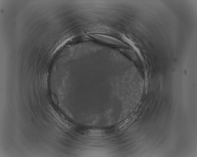 X0000087320154200705181020