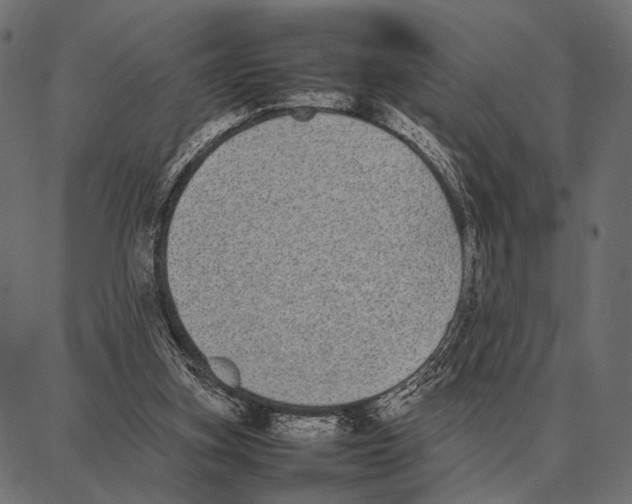 X0000087320155200705181020