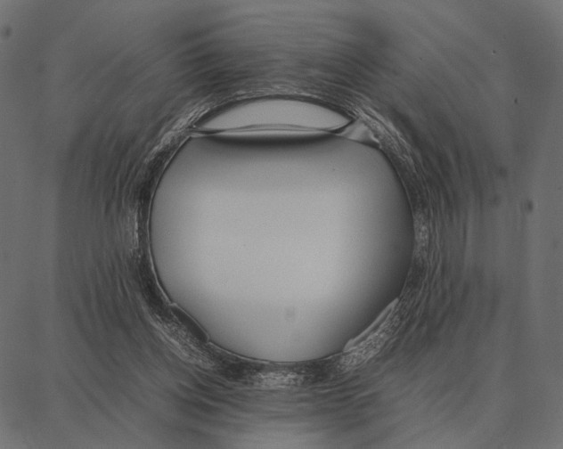 X0000087320158200705181020