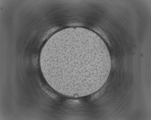 X0000087320159200705181020