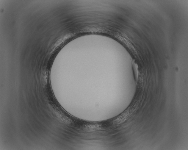 X0000087320160200705181020