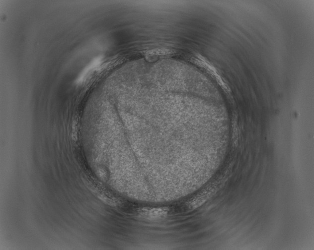 X0000087320161200705181020