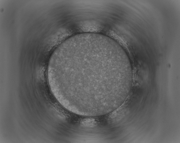 X0000087320162200705181020