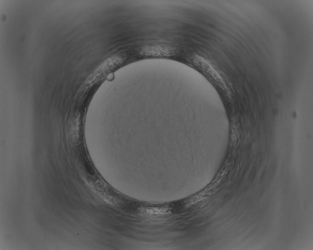 X0000087320163200705181020