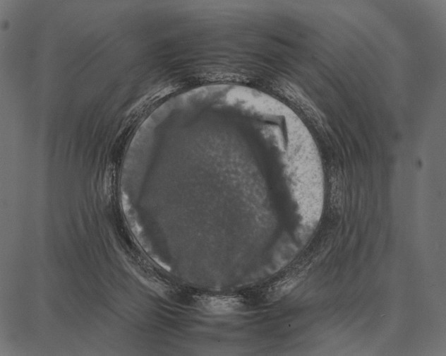 X0000087320165200705181020