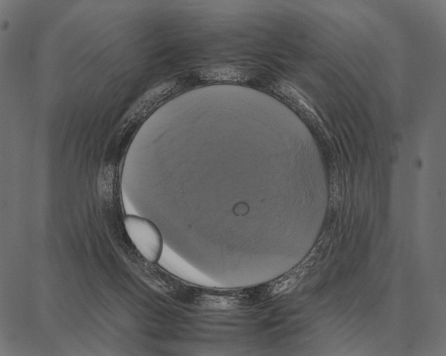 X0000087320167200705181020