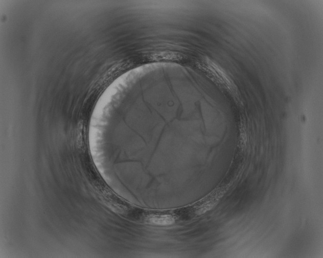 X0000087320169200705181020