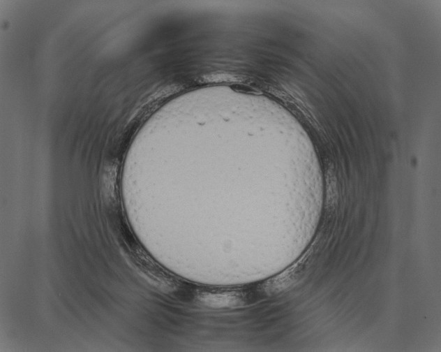 X0000087320171200705181020