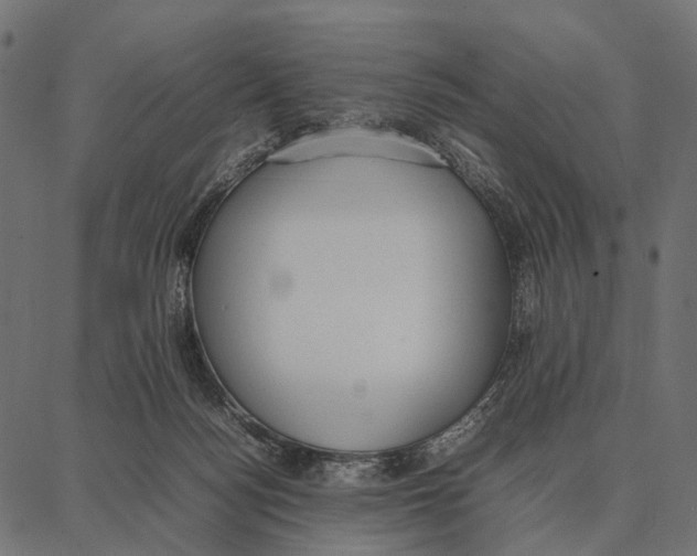 X0000087320172200705181020