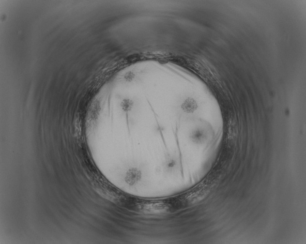 X0000087320173200705181020