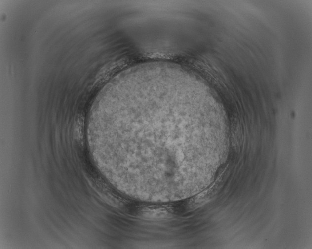 X0000087320175200705181020