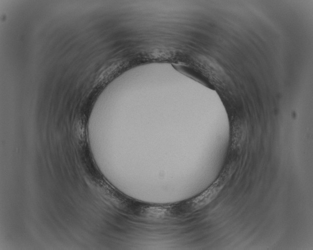 X0000087320176200705181020