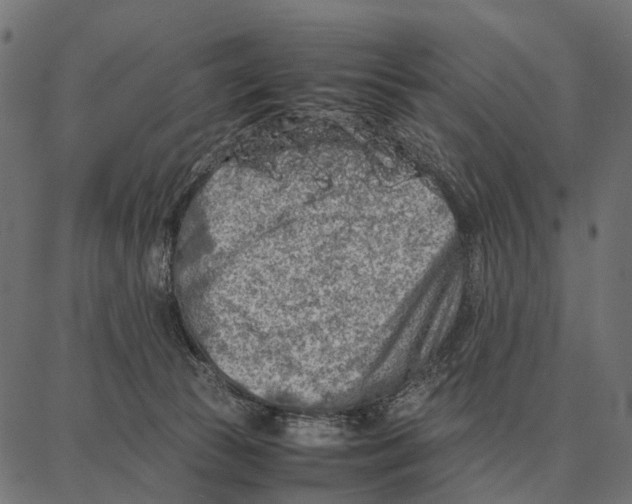 X0000087320177200705181020