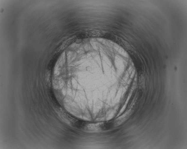 X0000087320178200705181020