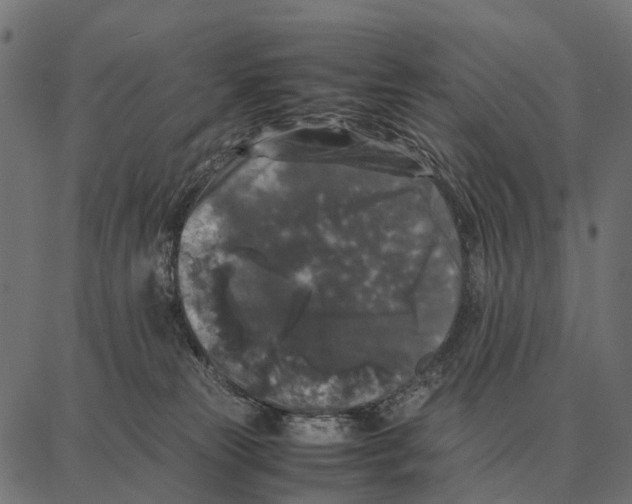 X0000087320181200705181020