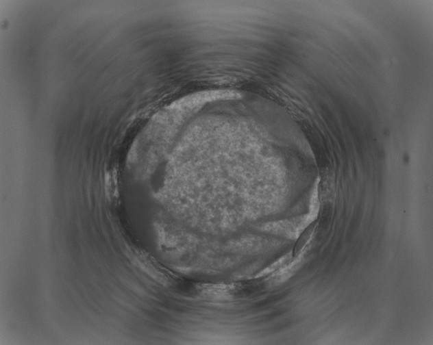 X0000087320182200705181020