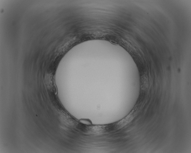 X0000087320184200705181020