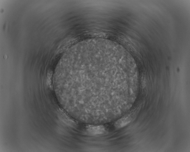 X0000087320185200705181020