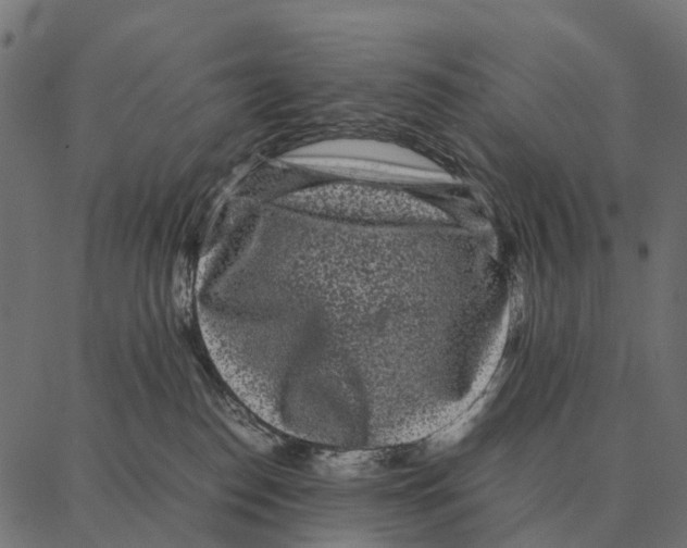 X0000087320186200705181020