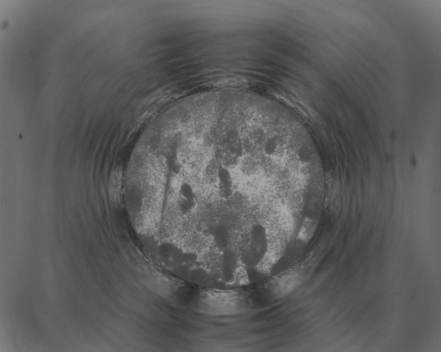 X0000087320189200705181020