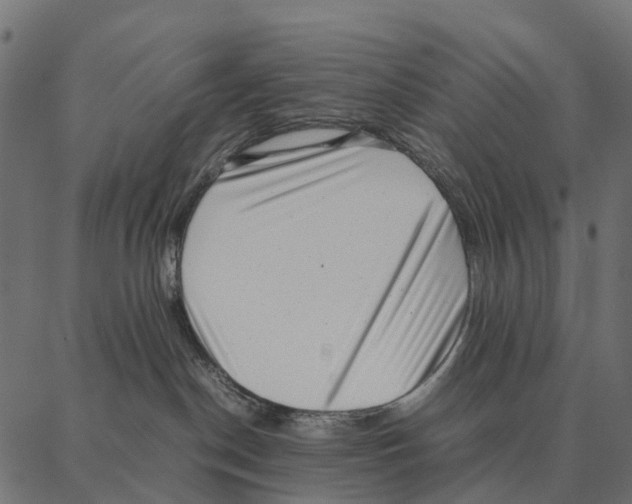 X0000087320190200705181020